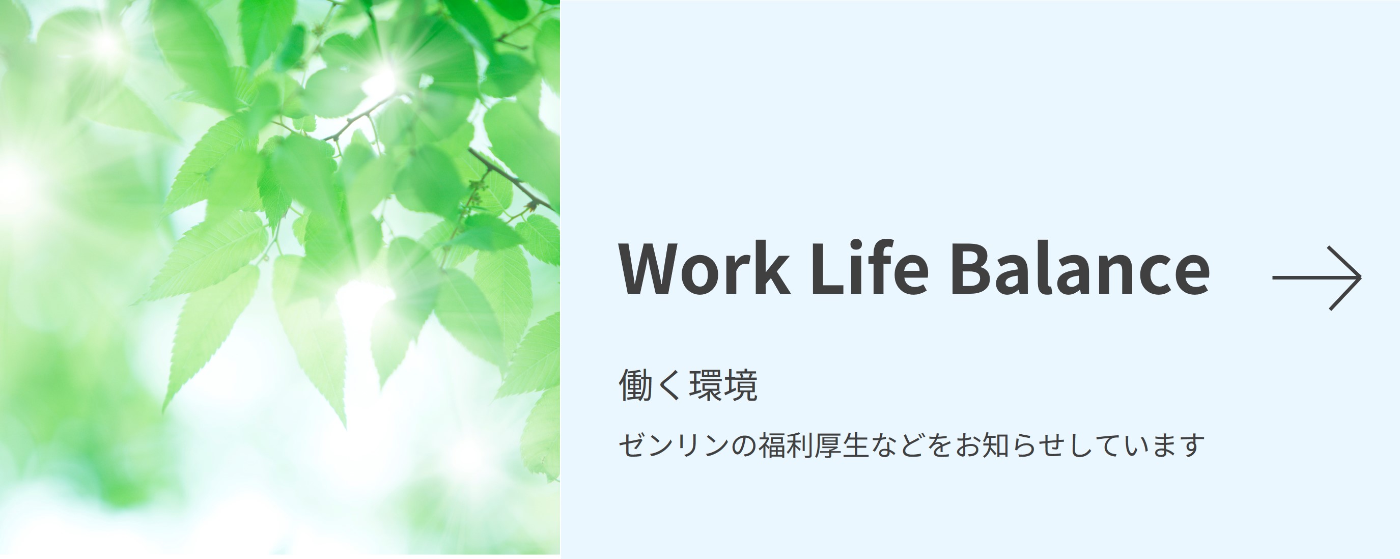 Work Life Balance 働く環境