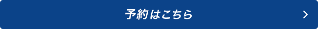 Gorilla（ゴリラ） 専用バージョンアップキット JAPAN MAP24　予約はこちら