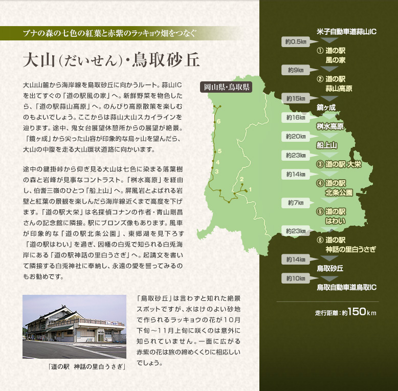 ブナの森の七色の紅葉と赤紫のラッキョウ畑をつなぐ　大山（だいせん）・鳥取砂丘