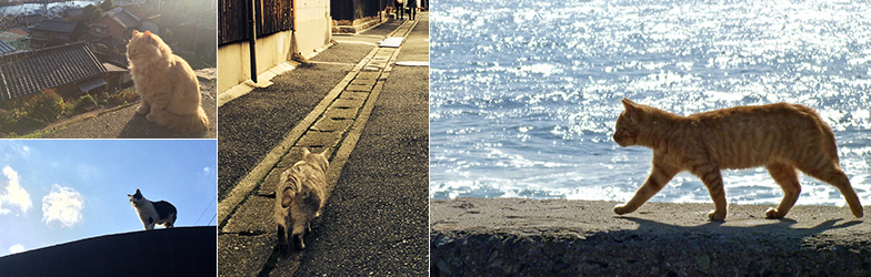 1度は行ってみたい！居るだけで癒される“ねこの街”
