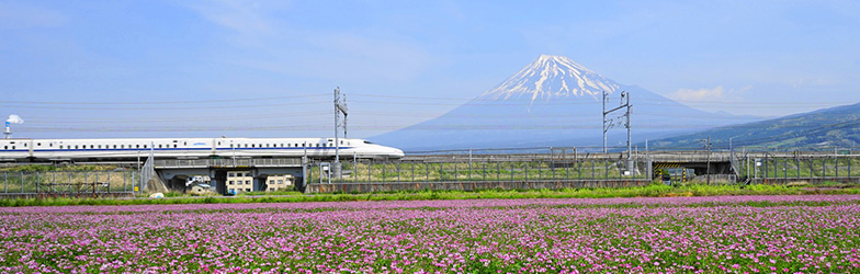 新幹線でつながる日本！北へ南へ旅しよう！