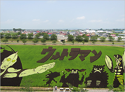 豊かに実る芸術「田んぼアート」を見に行こう！ | 株式会社ゼンリン