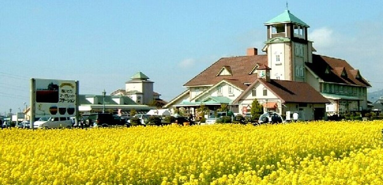 道ゆき 道ゆき通信 黄色の世界へ 菜の花 を見に行こう 西日本編 株式会社ゼンリン