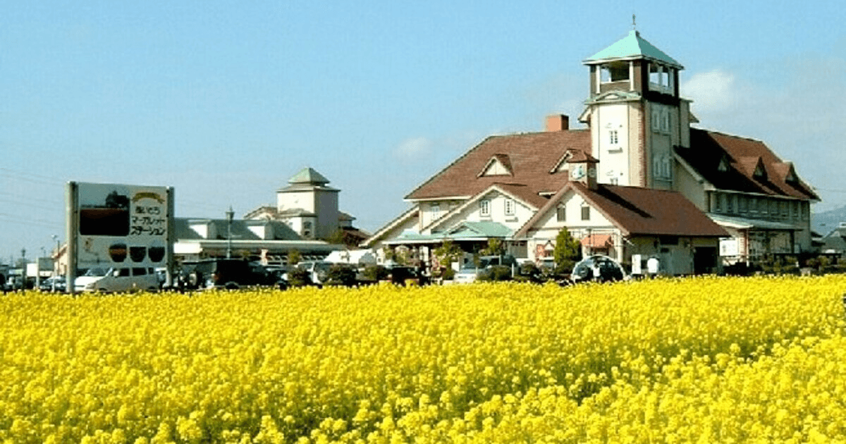 道ゆき 道ゆき通信 黄色の世界へ 菜の花 を見に行こう 西日本編 株式会社ゼンリン