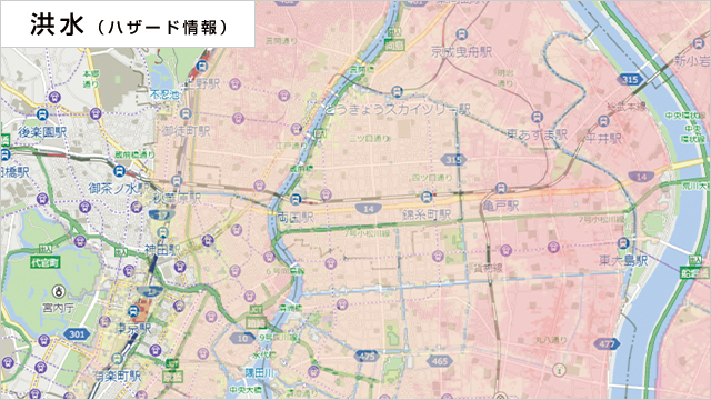 ハザード情報：洪水